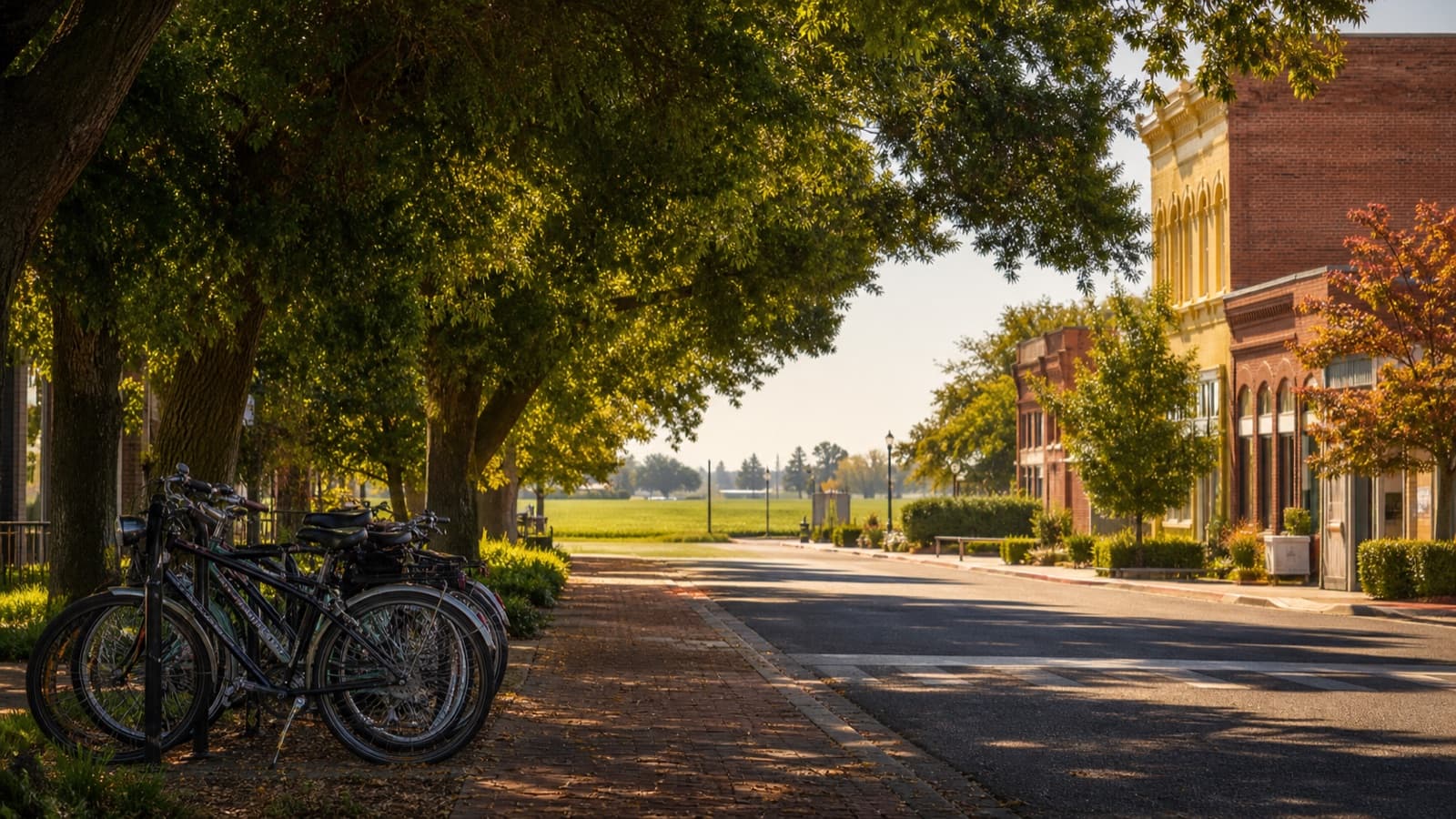 Greater Davis community